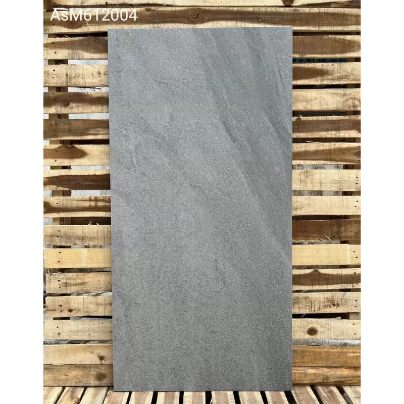 [DSC-ASM612004] ASM612004 Gạch Porcelain men matt KT 600x1200 mm (1h/1,44m/2v/30kg)