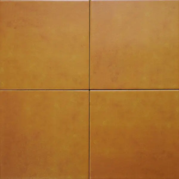 Gạch Bông 200x200 mm IN2015