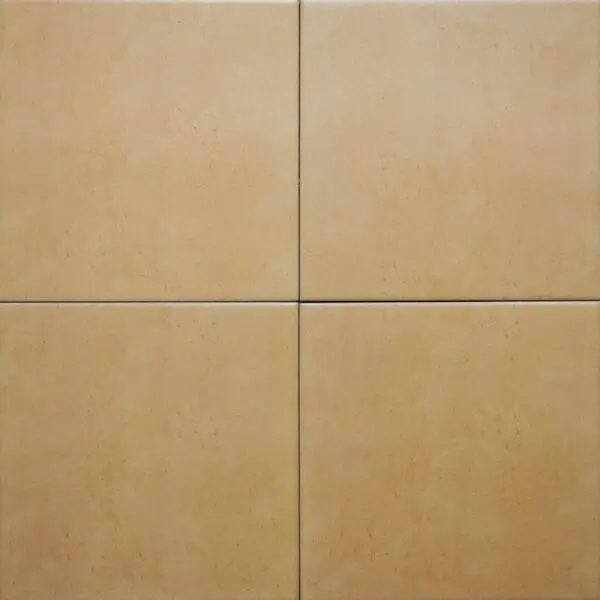 Gạch Bông 200x200 mm IN2016