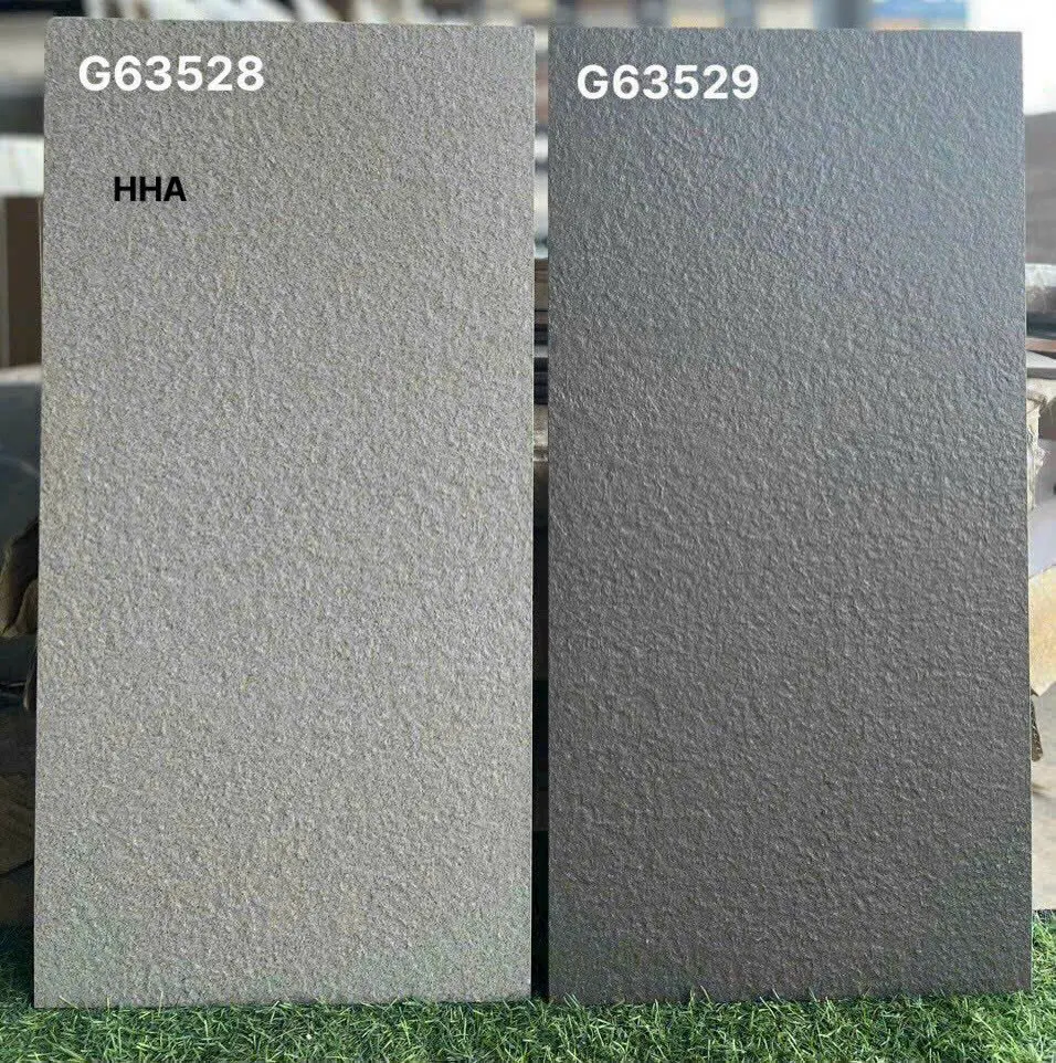 [DSC-2911G63529DD] Gạch lát Taicera G63529DD KT 300x600mm