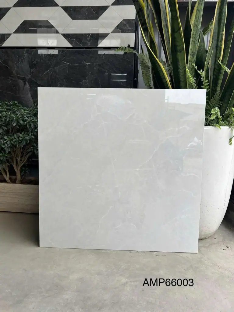 [DSC-3501196591579] Gạch lát sàn KT 600x600mm AMP66003