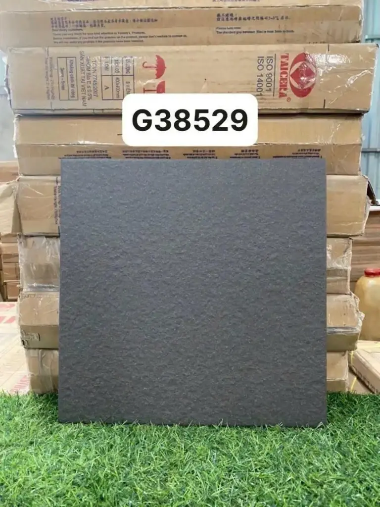[DSC-G38529] Gạch Taicera G38529 KT 300x300mm