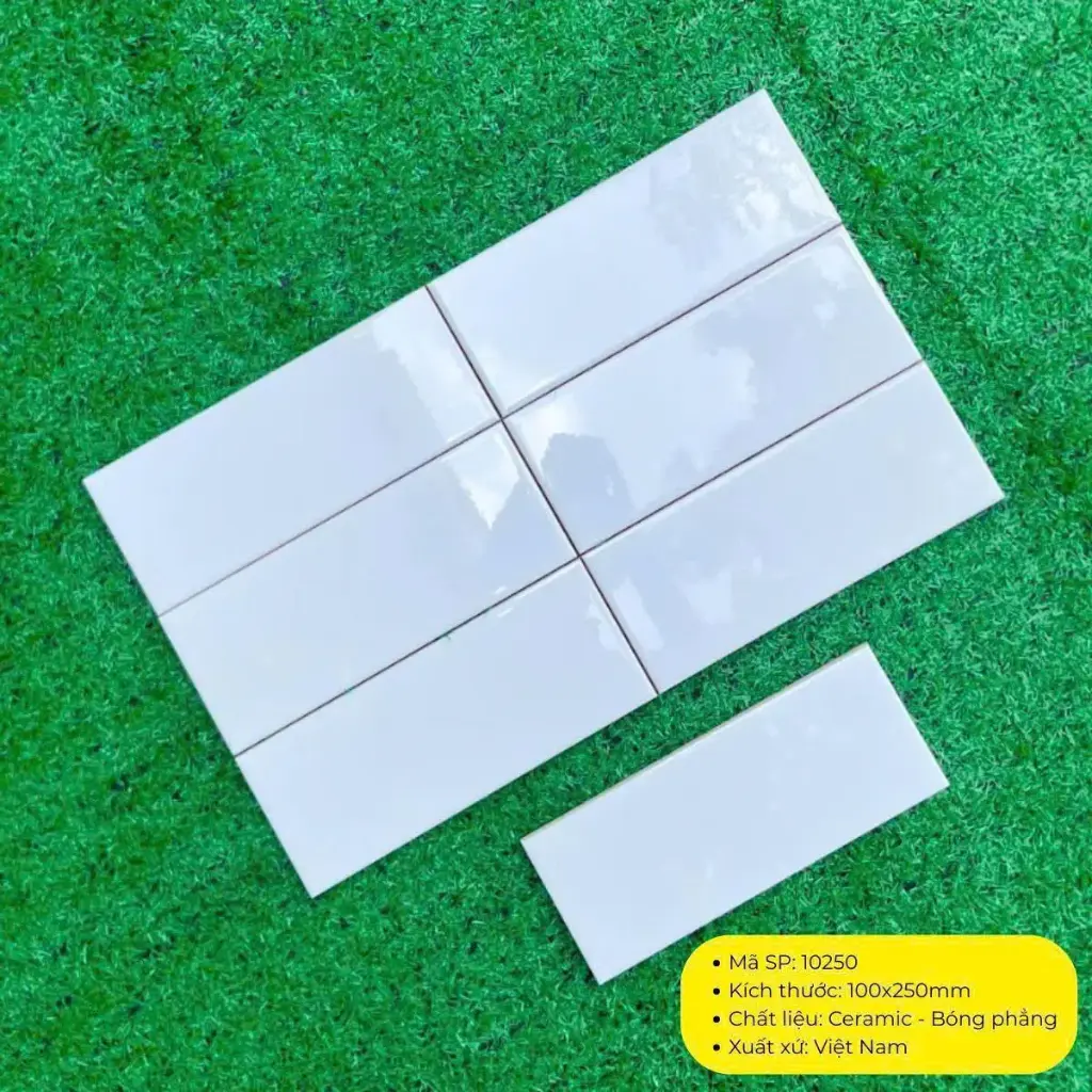 [DSC-10250] Gạch thẻ KT 10x25 mã 10250