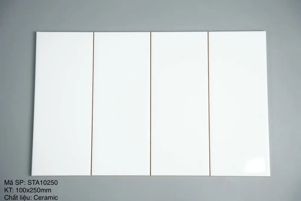 [DSC-STA10250] Gạch thẻ VN loại 1 trắng bóng phẳng, KT 100x250mm, mã STA10250 (IC0410P - STA0410P) (40v/hộp/1m2)