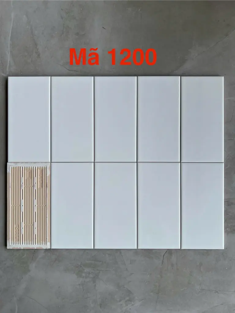 [DSC-STA1200_SA] Gạch thẻ Việt Nam KT 100x200mm trắng bóng phẳng loại 1 mã 0199-2 (STA1200_SA)M1200