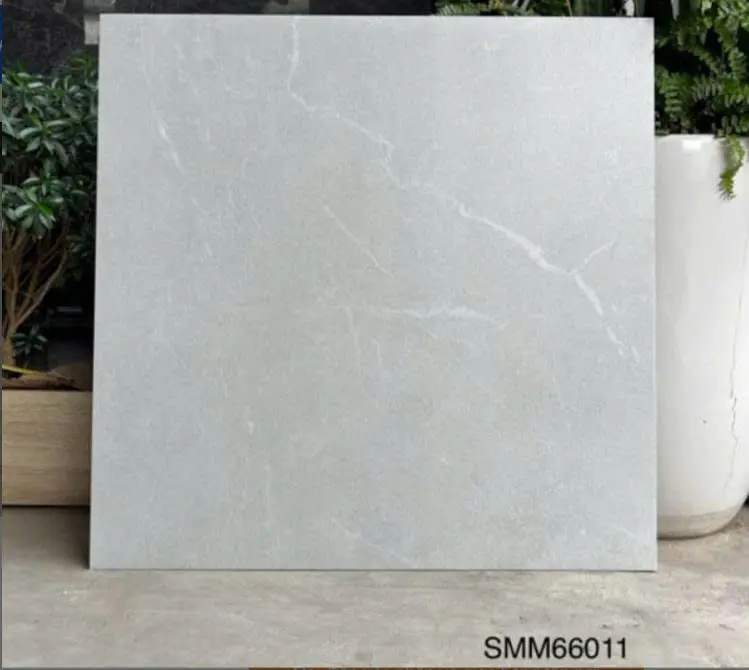 [DSC-SMM66011] Gạch Ốp Lát kt 600x600mm Men Matt Mã SMM66011