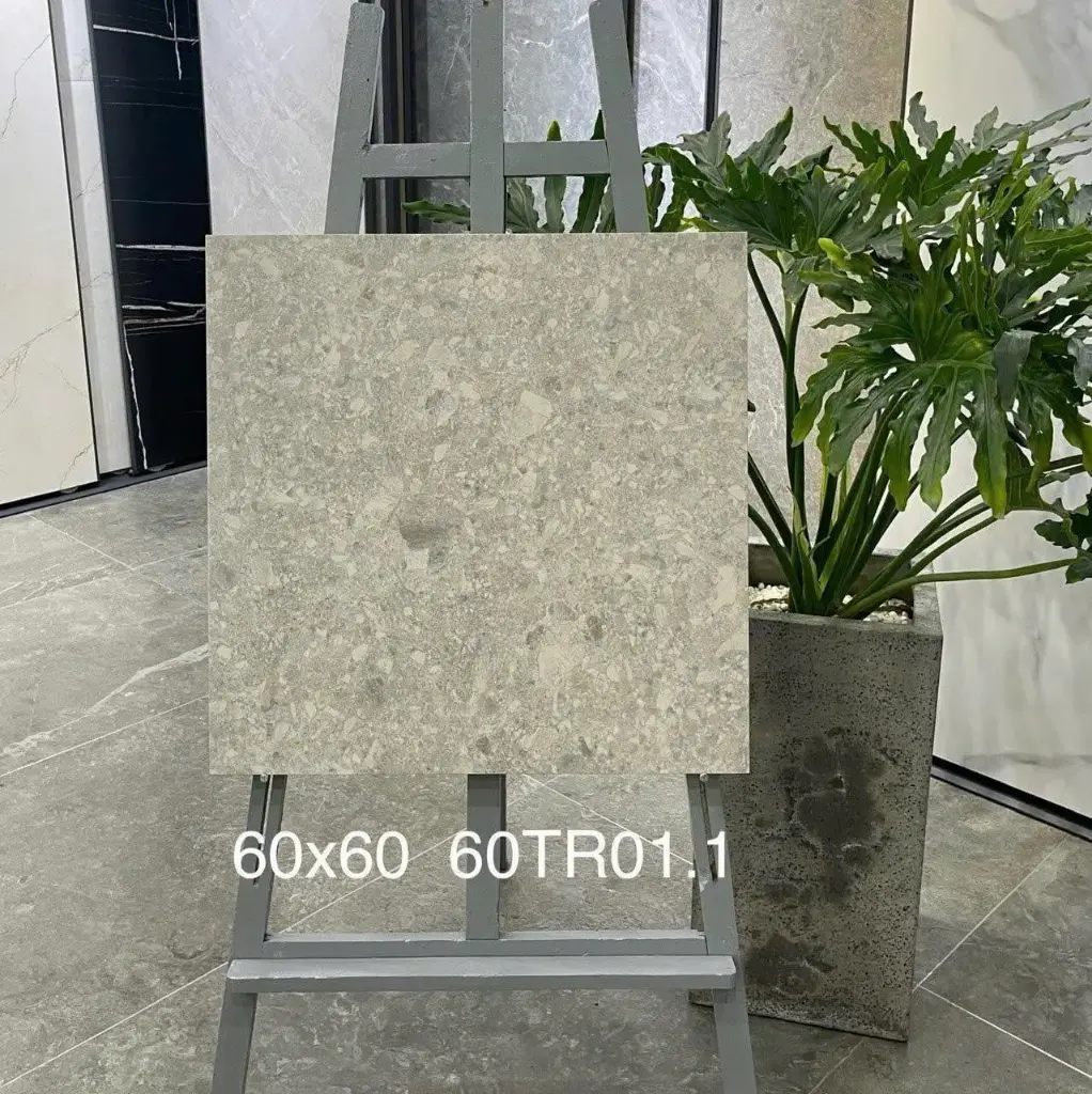 [DSC-60TR01.1] Gạch ốp lát 600x600mm mã 60TR01.1