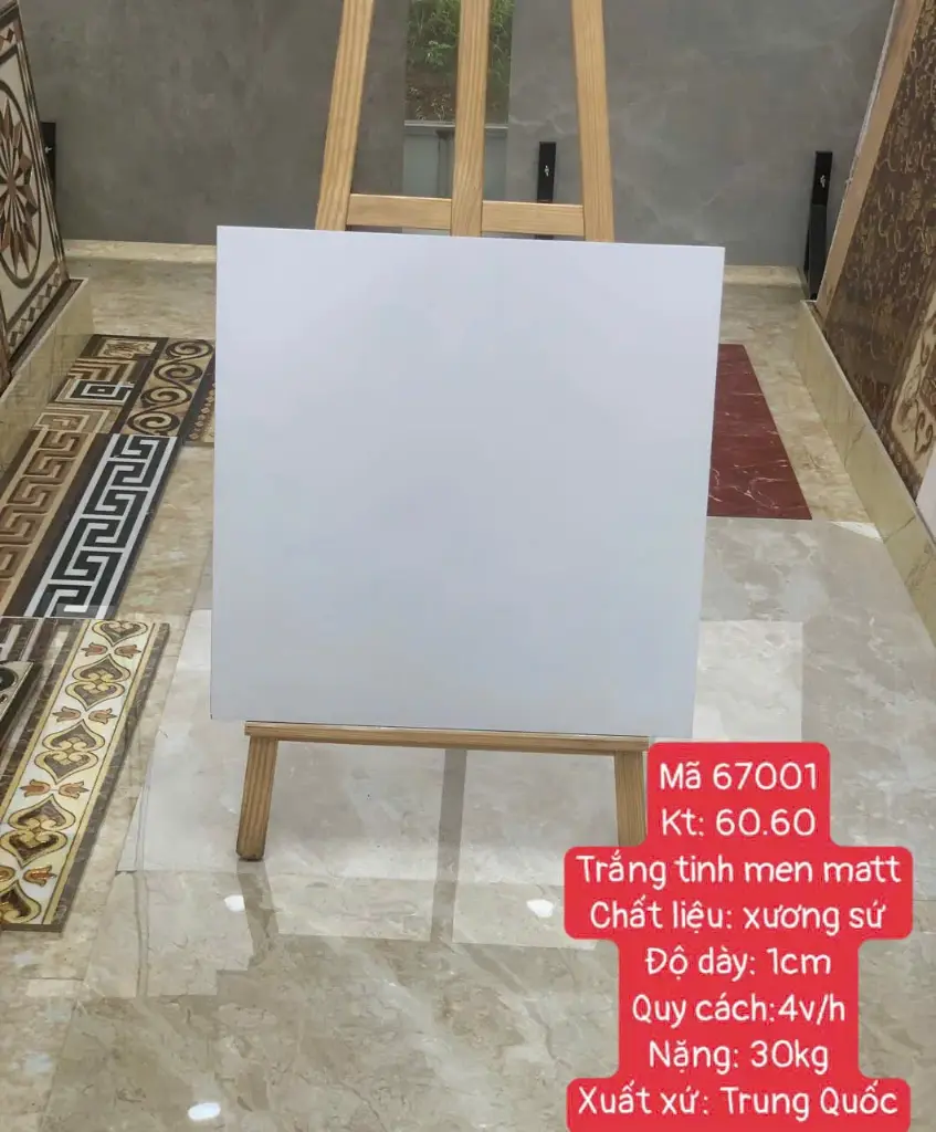 [DSC-67001] Gạch ốp lát men matt trắng mờ 600x600mm 67001