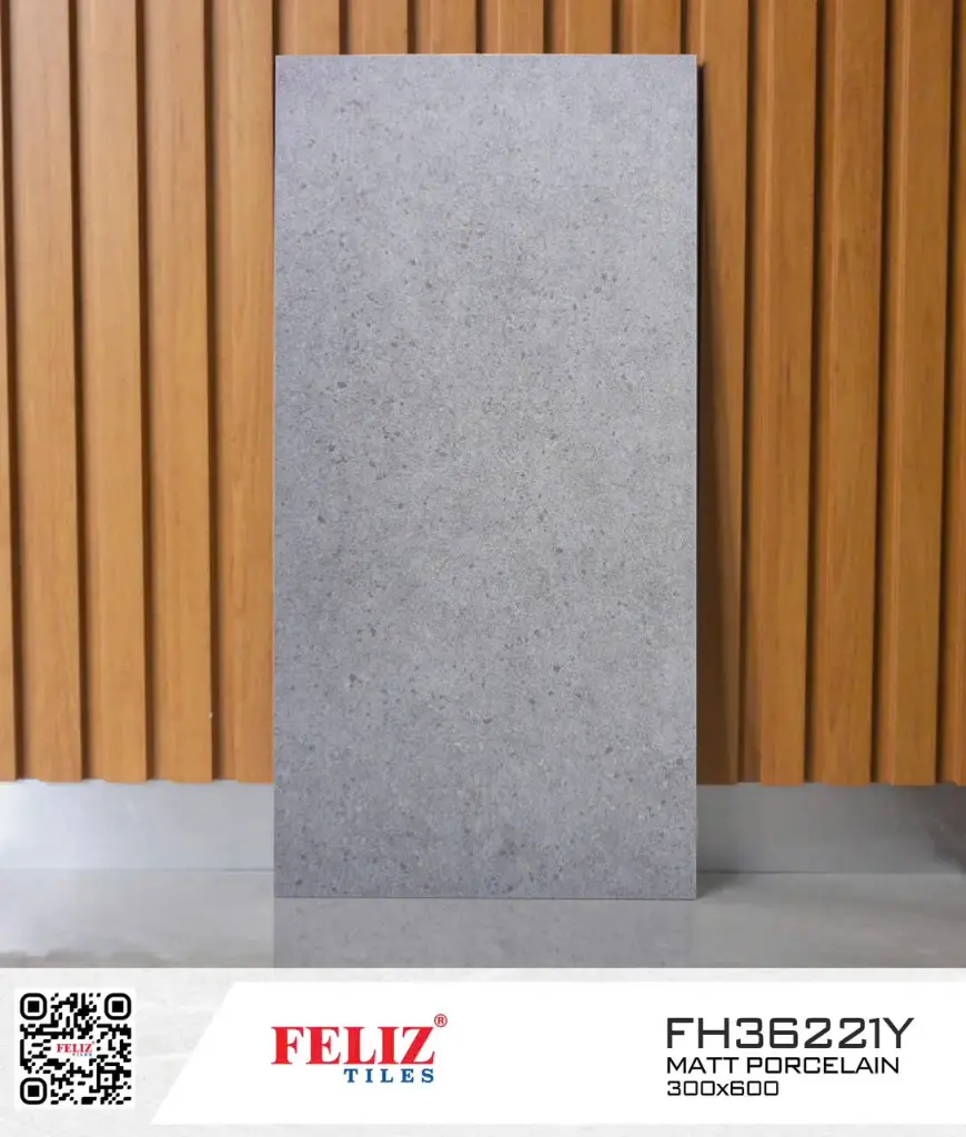 [DSC-FH36221Y] Gạch ốp lát KT 300x600 mm mã FH36221Y