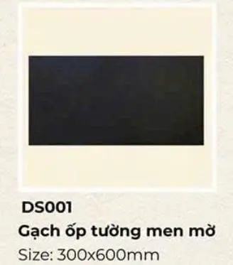 [DSC-DS001] Gạch ốp tường men mờ KT 300x600mm mã DS001