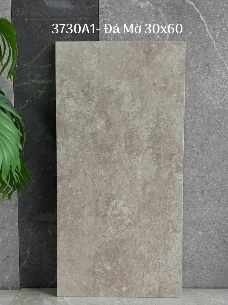 [DSC-373A01] Gạch đá xám mờ xương đá VN KT 300x600mm mã 373A01