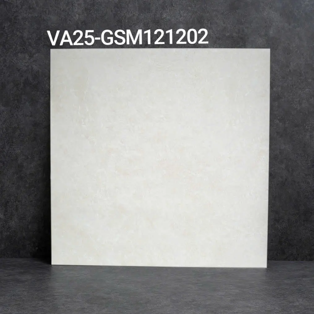 [DSC-VA25-GSM121202] Gạch ốp lát KT 1200x1200mm mã VA25-GSM121202