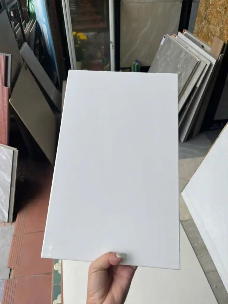 [DSC 2540] Gạch ốp tường trắng bóng 250x400mm 2540