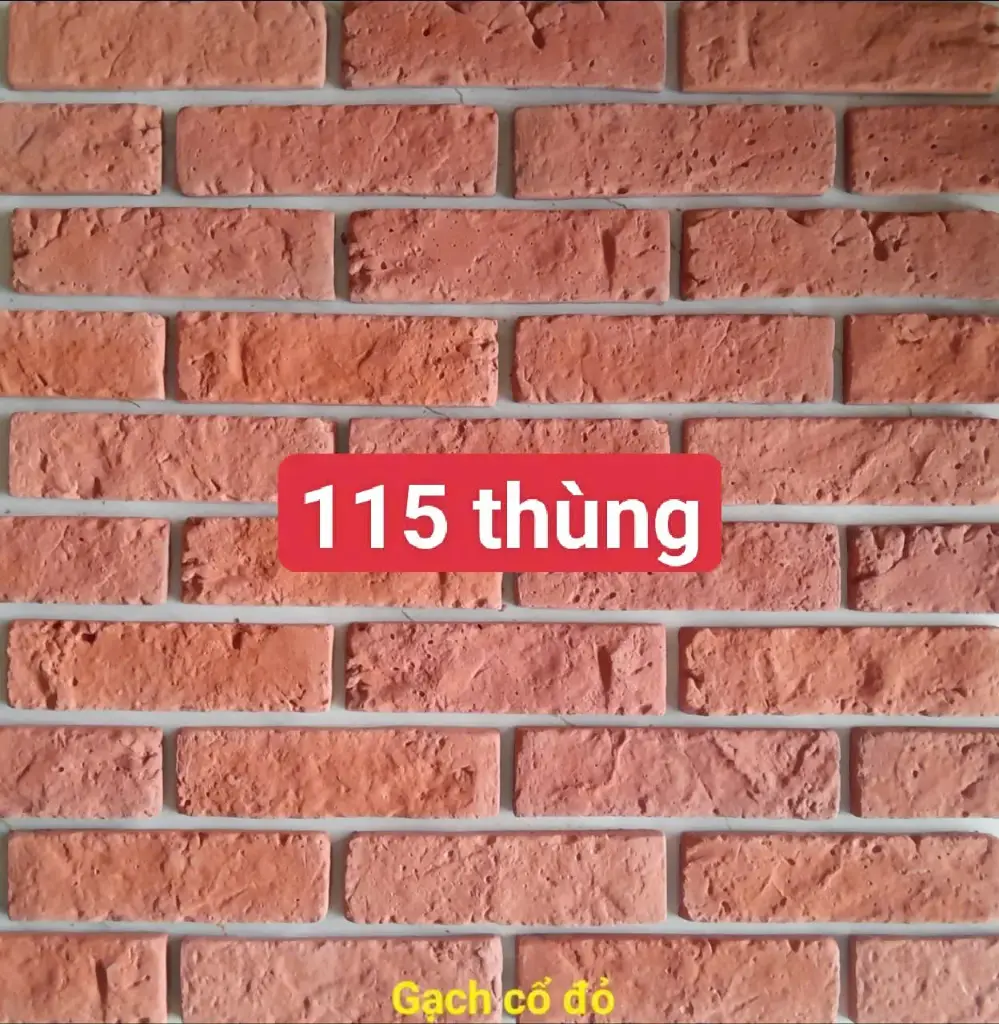 [DSC-Gachcodo] Gạch cổ đỏ KT 190x50mm