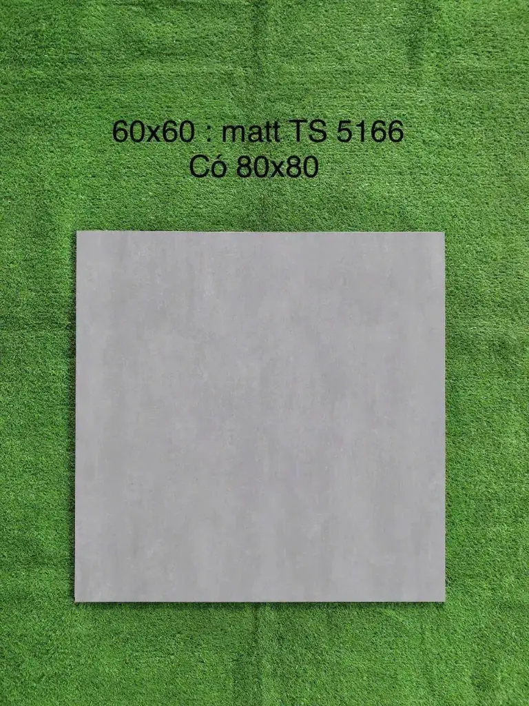 [DSC-TS 5166] Gạch lát vân xám xi măng mờ KT 600x600mm mã TS 5166