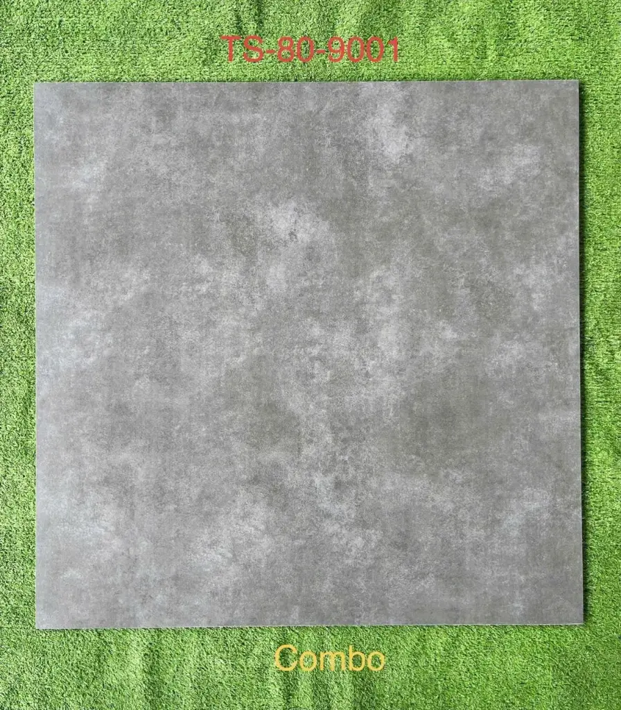 [DSC-TS9001] Gạch ốp lát men matt 600x600mm TS9001