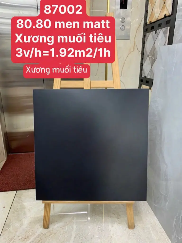 [87002] Gạch 80x80cm men matt màu đen 87002
