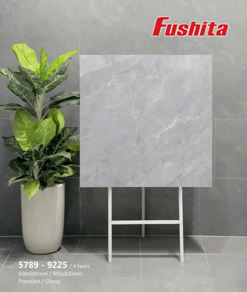 [DSC-5789] Gạch ốp lát KT 60x60 mã 5789