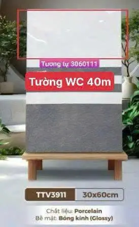[DSC-TTV3911] Gạch pocelain bóng kính màu nhạt, KT 300x600mm, mã TTV3911 (10v/thùng/1.8m2)