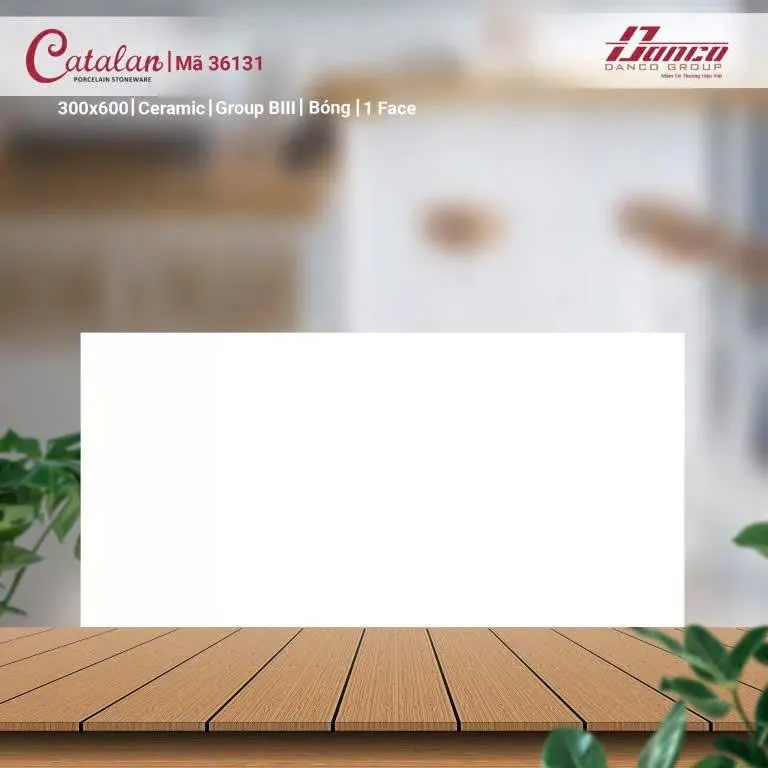 [DSC-36131] Gạch men ốp tường trắng bóng, KT 300x600mm, mã 36131 (8v/thùng/1.44m2)
