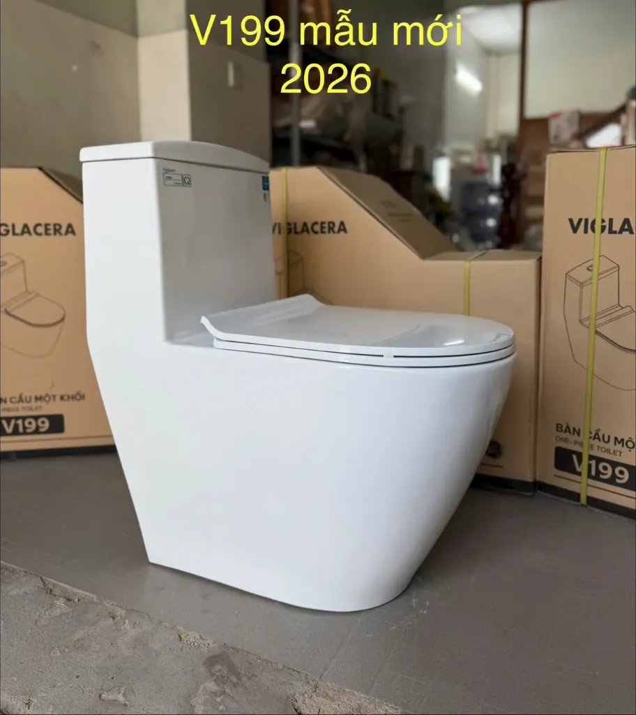 [DSC-V199] Bồn cầu liền khối Viglacera, mã V199