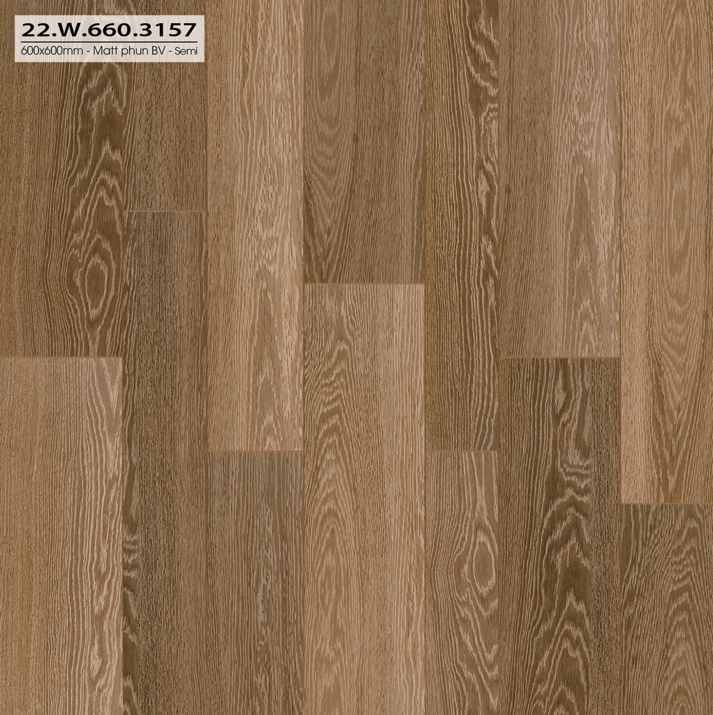 Gạch 600x600mm matt xương đá 22W660.3157