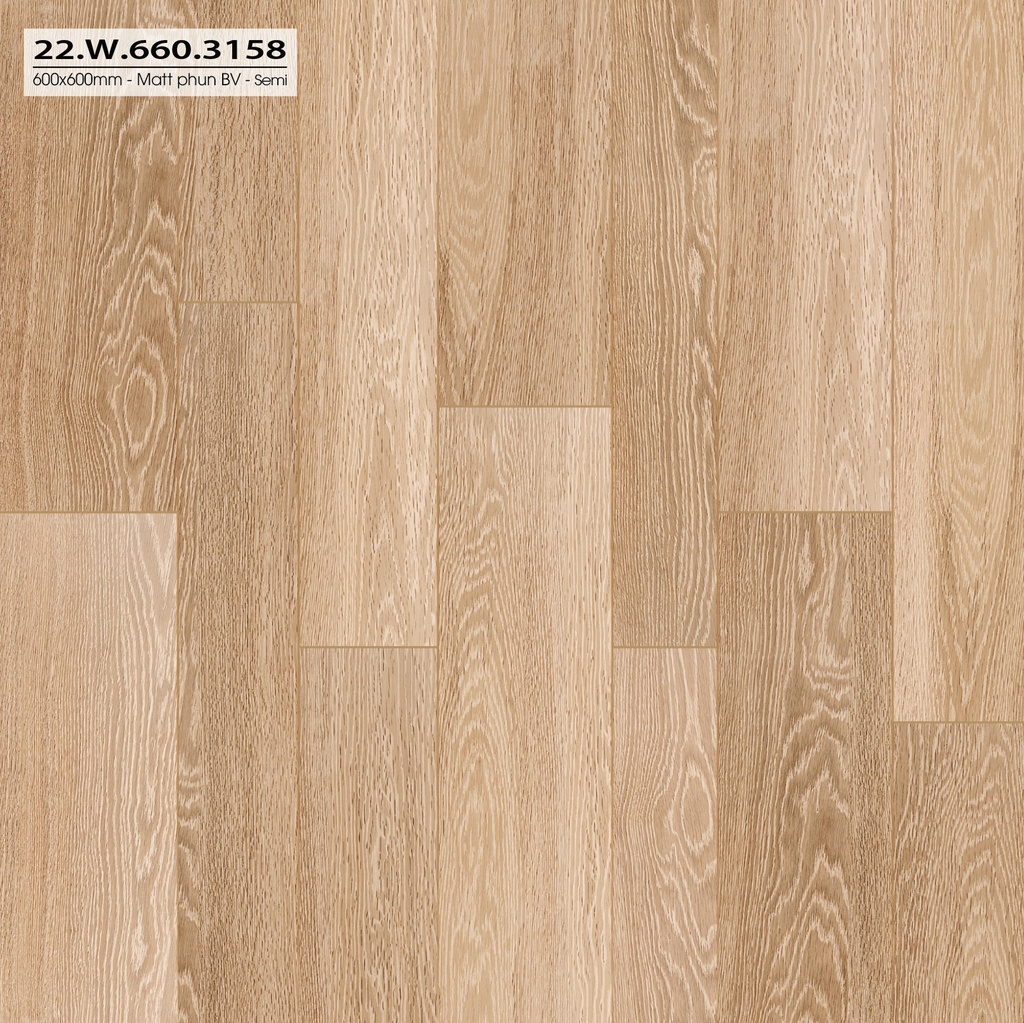 Gạch 600x600mm matt xương đá 22W660.3158