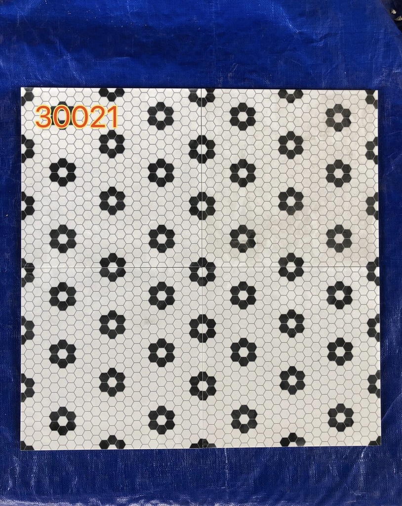 Gạch bông KT 300x300 men matt mã 30021
