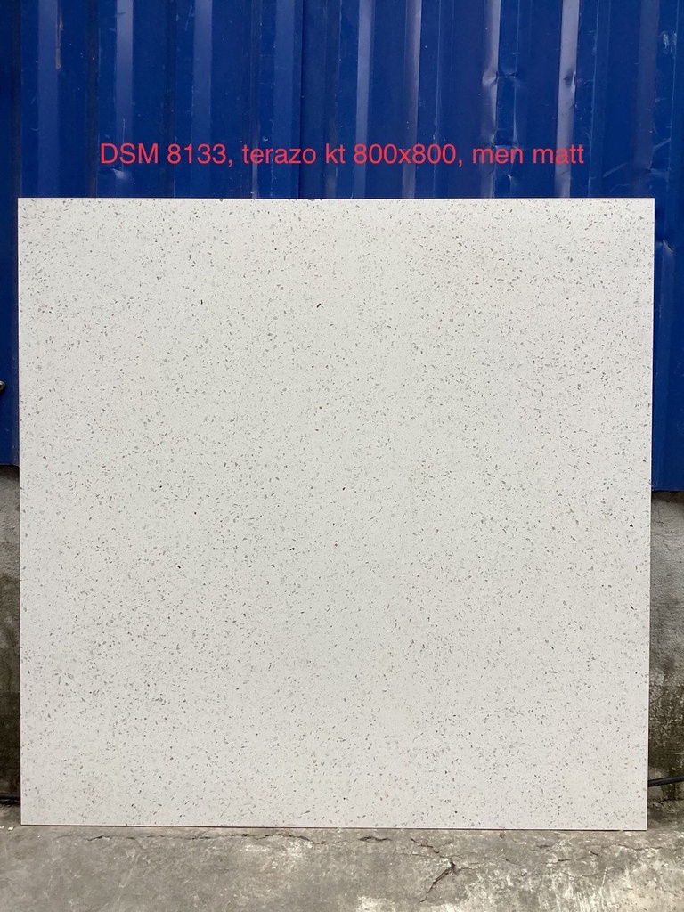 Gạch Terrazzo DSM 8133 800x800mm