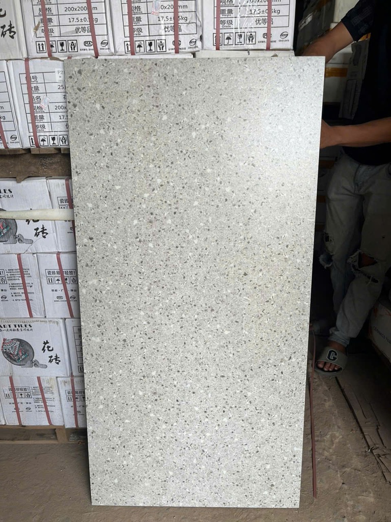 Gạch terrazzo TQ, KT 600x1200 mm porcelain mặt mờ mã H6010 (126055)