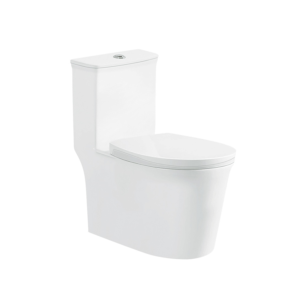 BỒN CẦU LIỀN KHỐI DK-C2412L