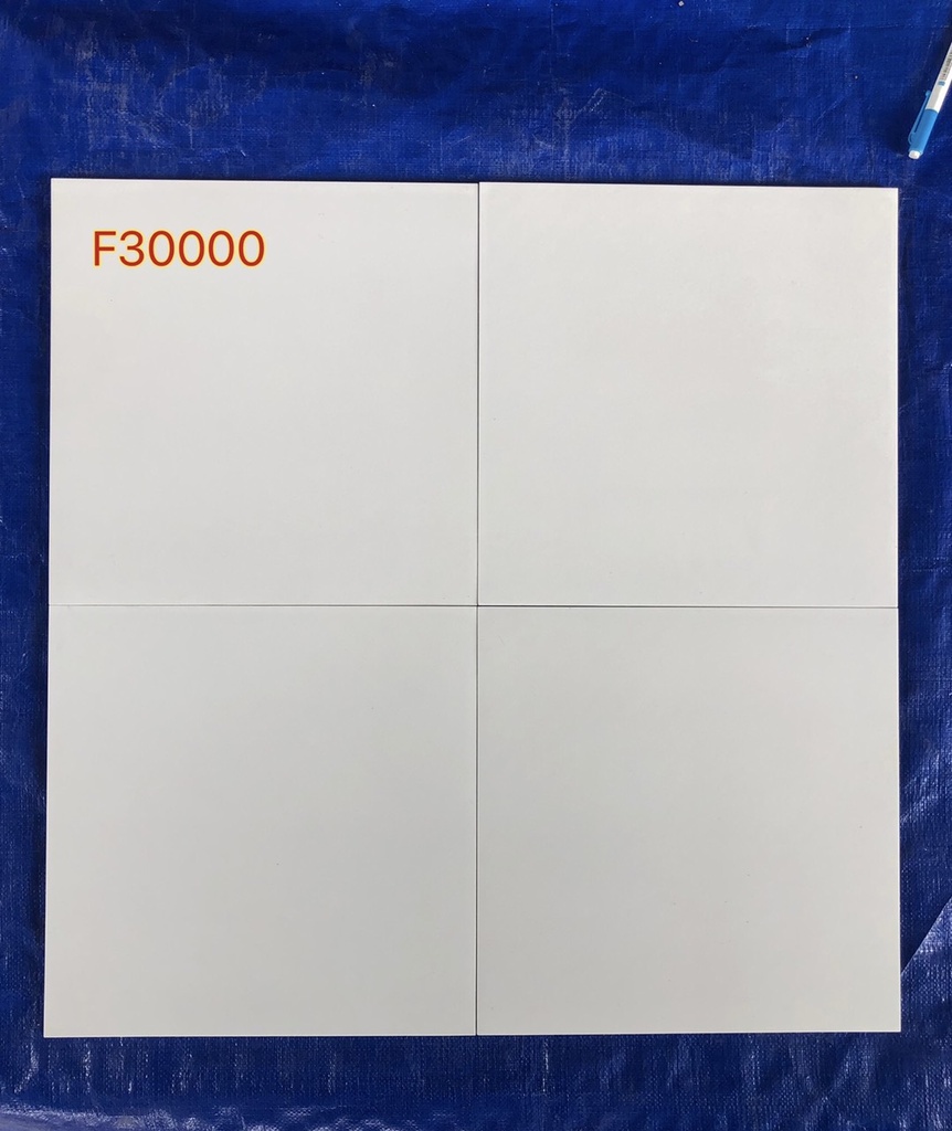 Gạch 300x300 trắng mờ F30000 (MF300)