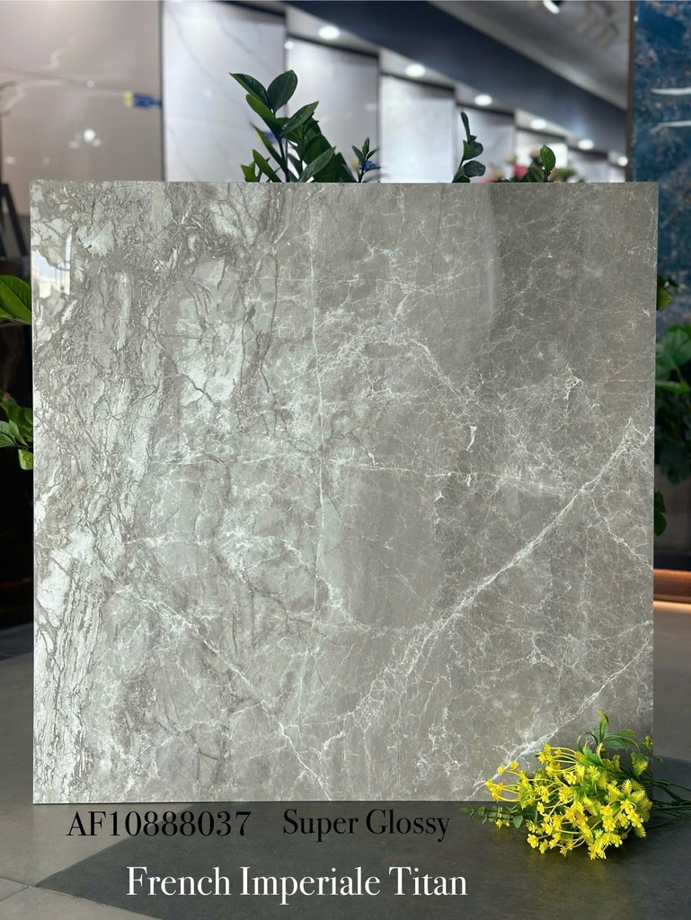 Gạch Apodio 80x80 AF.10.88.8037