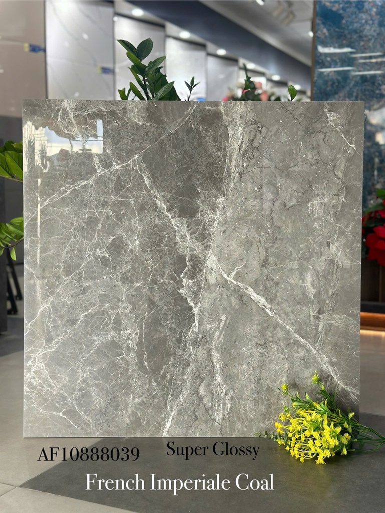 Gạch Apodio 80x80 AF.10.88.8039