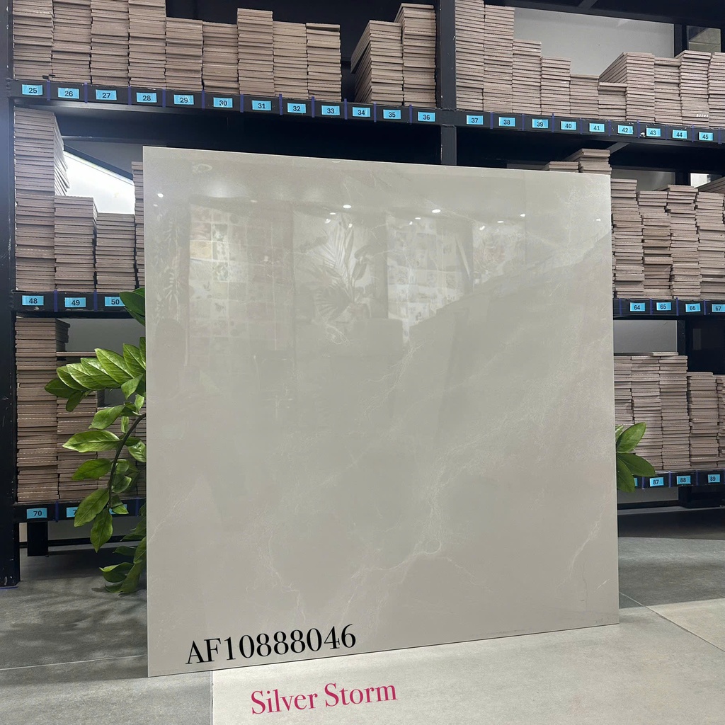 Gạch Apodio 80x80 AF.10.88.8046