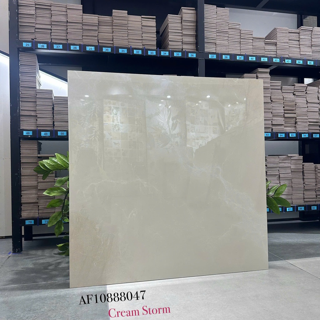 Gạch Apodio 80x80 AF.10.88.8047