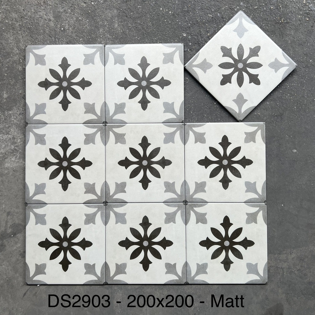 Gạch bông TQ, KT 200x200 mm, Xương Porcelain mặt mờ mã DS2903