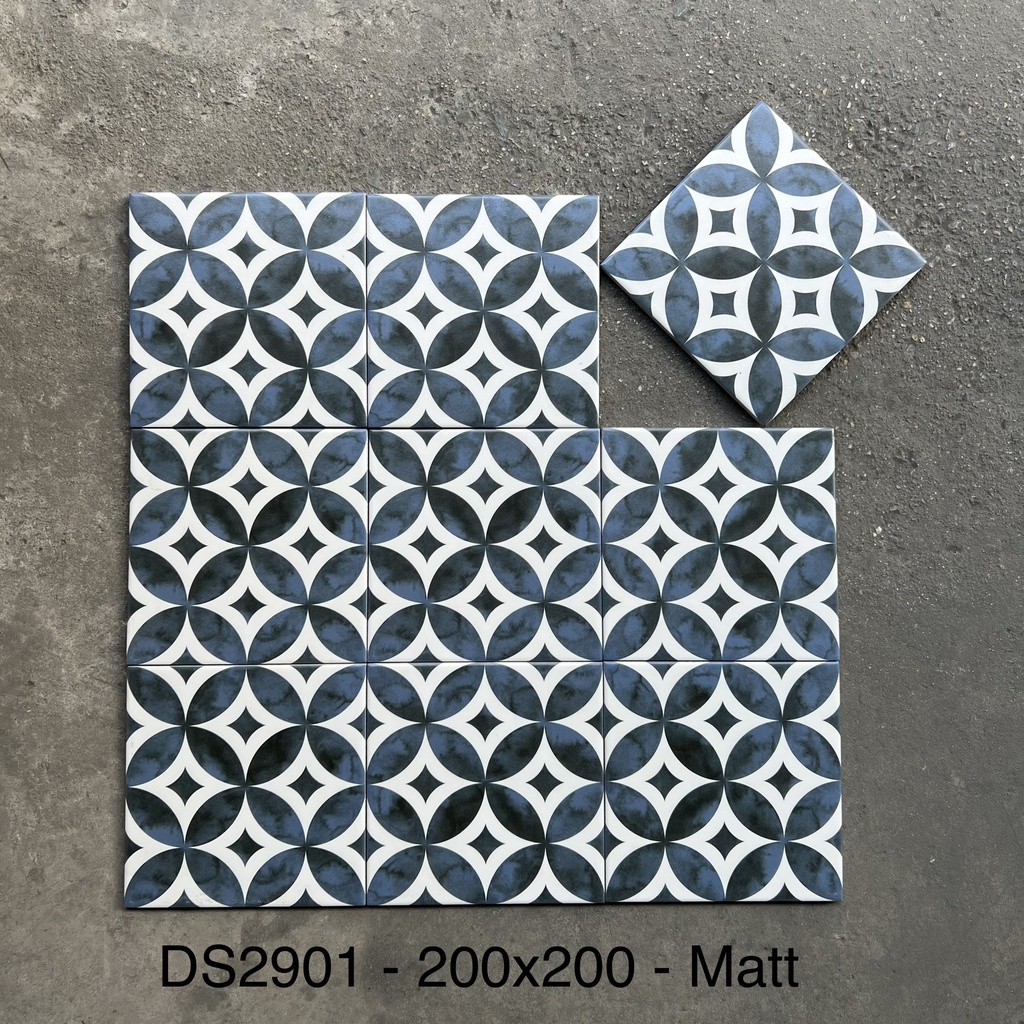 Gạch bông 200x200 mm mã DS2901( 1m/hộp)