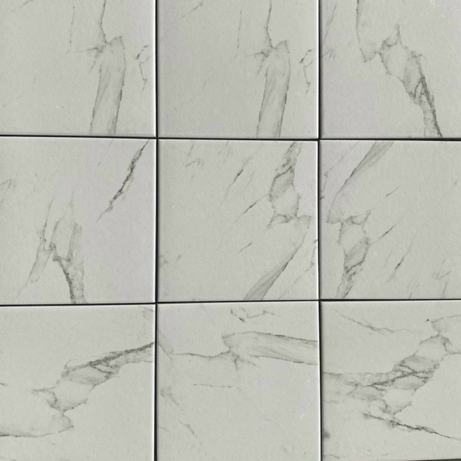 Gạch bông 200x200 mm trắng vân khói 20118