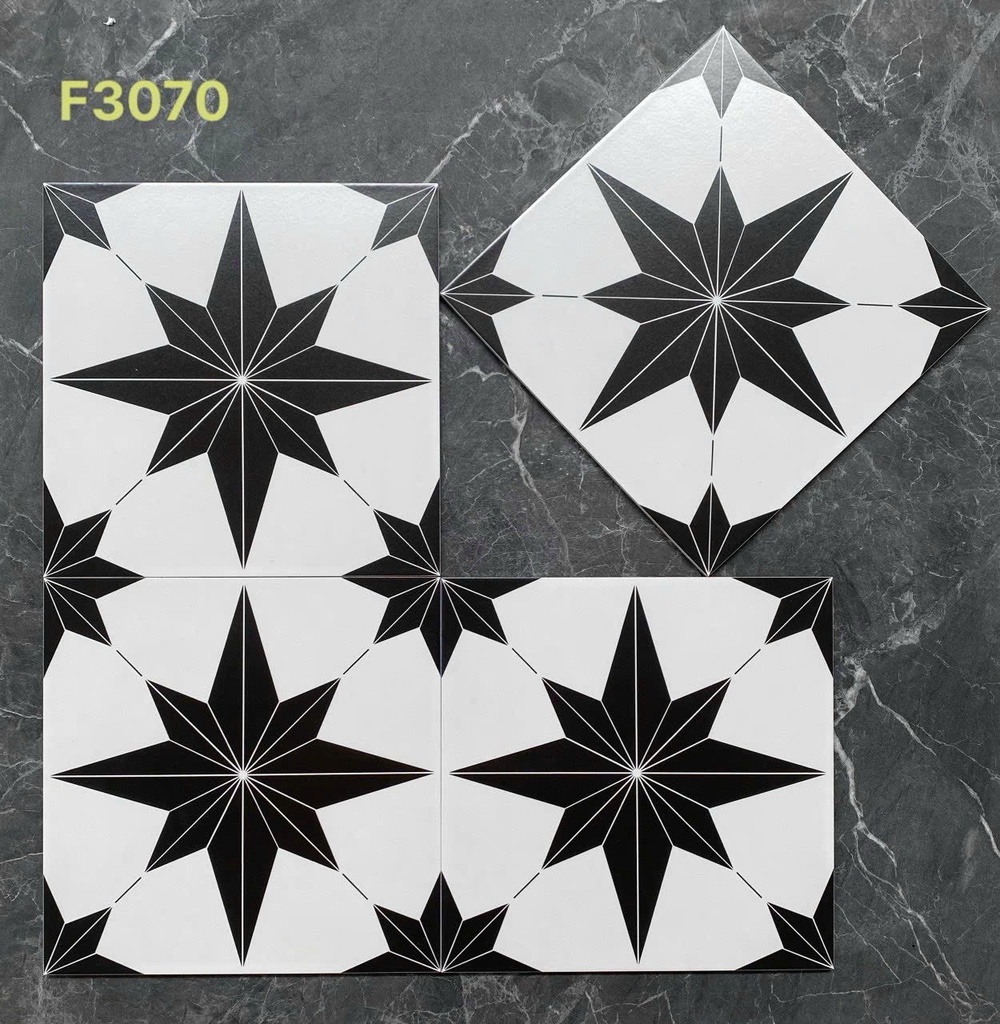 Gạch bông 300x300 mm F3070