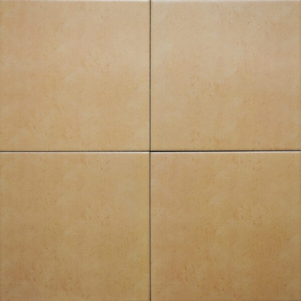 Gạch Bông 200x200 mm IN2016