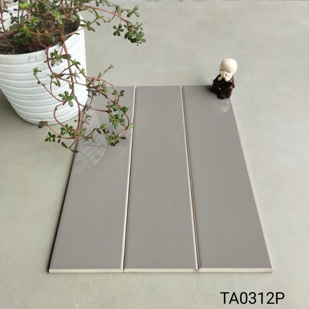 Gạch thẻ loại 1 KT 75x300mm TA0312P