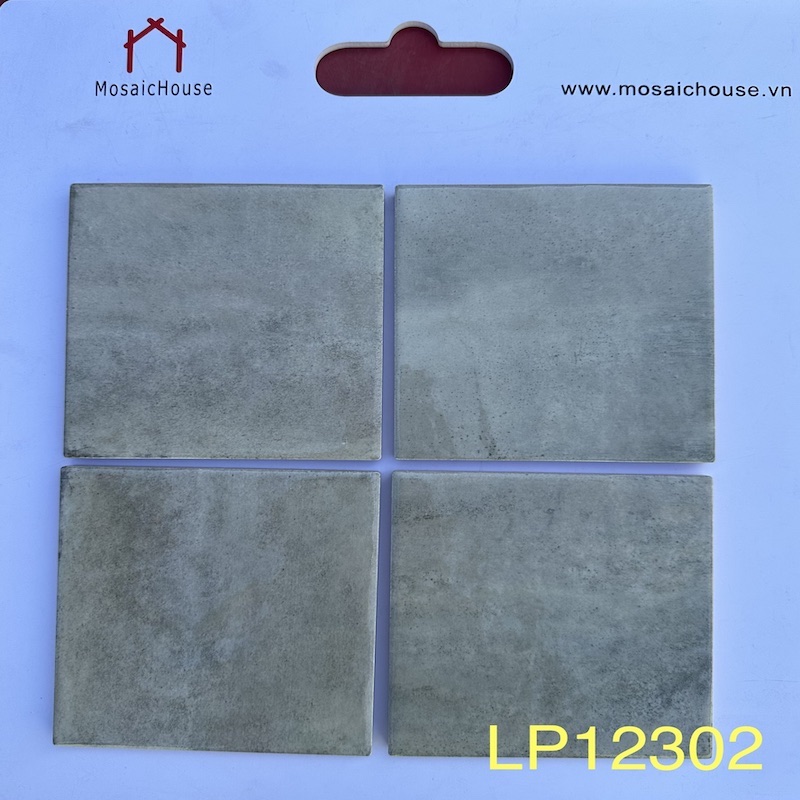 Gạch thẻ 123x123 mm LP12302