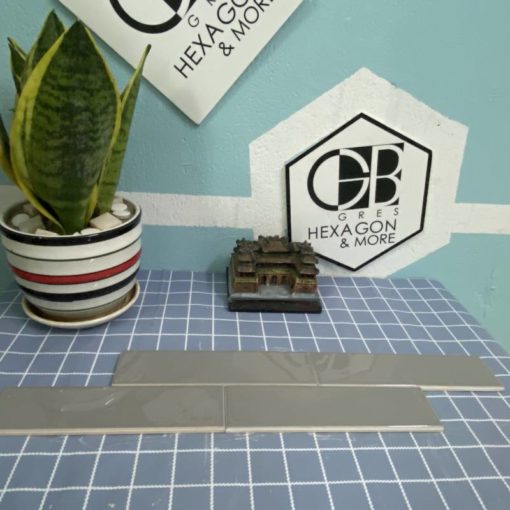 Gạch thẻ Việt Nam, KT 50x200mm xám đậm bóng phẳng mã STA50202 loại 1