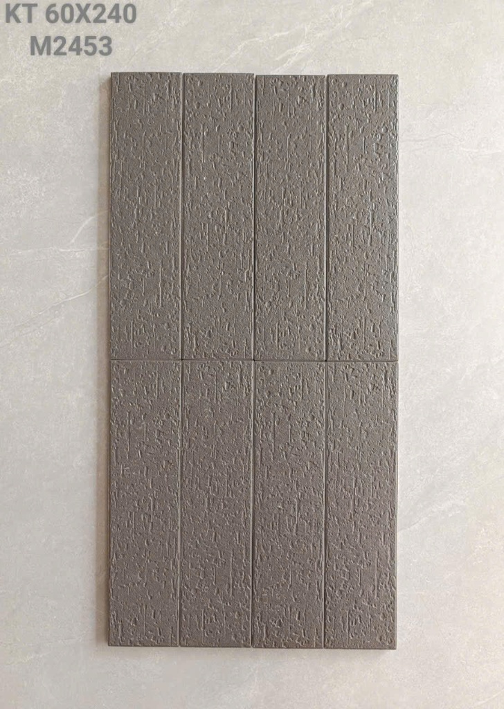 Gạch thẻ 60*240 mm mã 2453