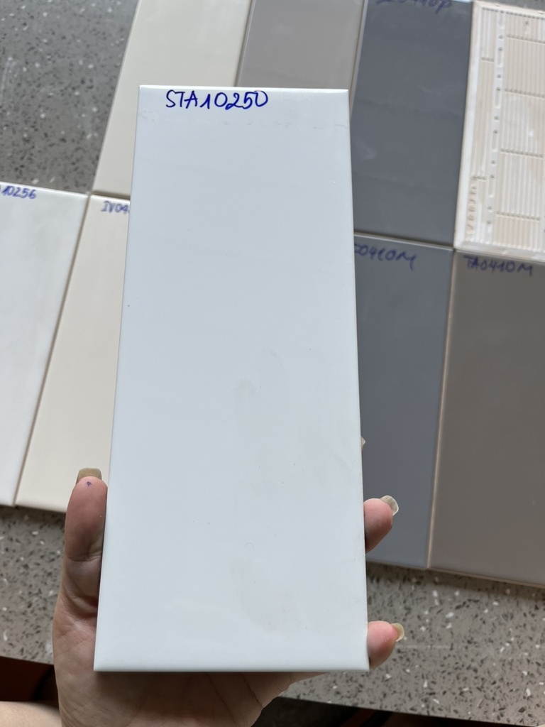 Gạch thẻ Việt Nam trắng bóng phẳng KT 100x250mm loại 1 mã STA10250