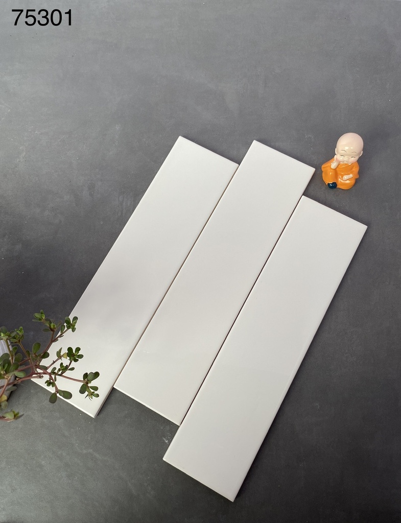 Gạch thẻ xương bóng phẳng KT 75x300mm (2719A) (1h/1.125m/50v)