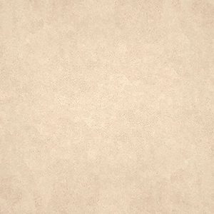 Gạch lát nền taicera 30×30 g38932nd