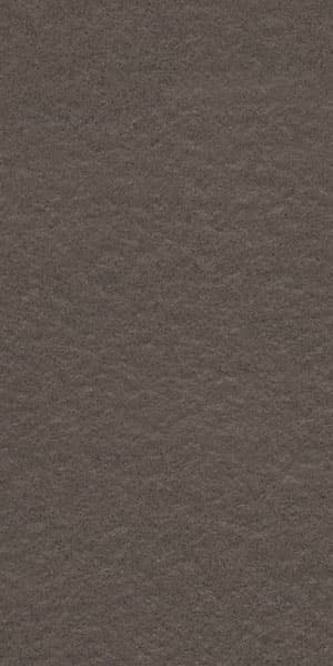 Gạch lát nền taicera 30×60 g63521