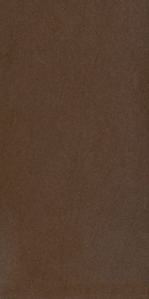 Gạch lát nền taicera 30×60 g63911